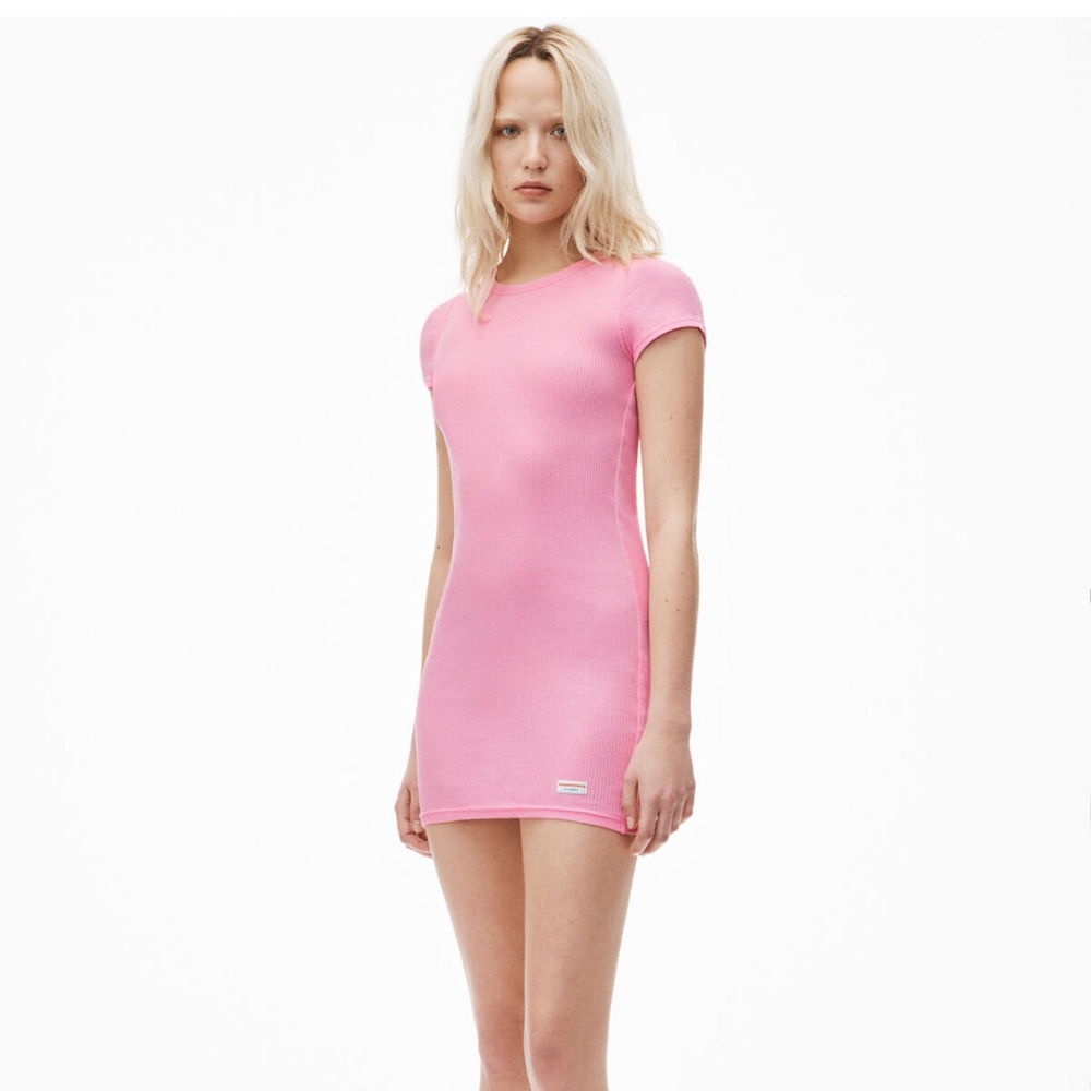 Alexander Wang Mini Dress!